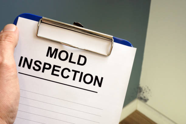 Best Mold Removal for HVAC Installations  in Sturtevant, WI